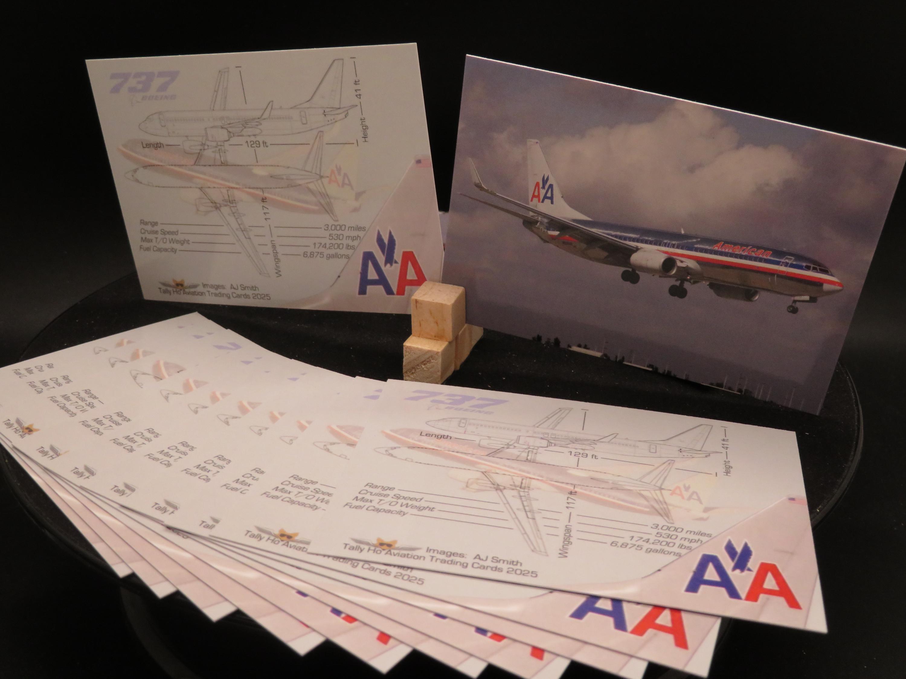 American Airlines Boeing 737-800 