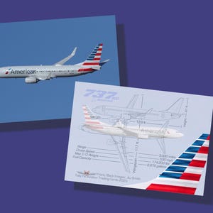 Boeing 737-800 de American Airlines - Juego de 25 tarjetas coleccionables de aviación - 6,35 cm x 8,99 cm - Tarjeta de colección de avión comercial - ENVÍO GRATIS