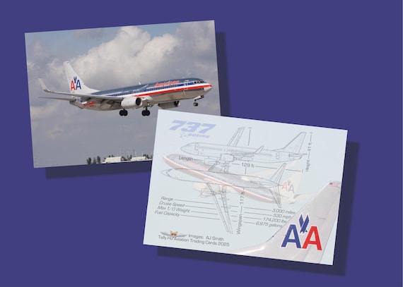 American Airlines Boeing 737-800 