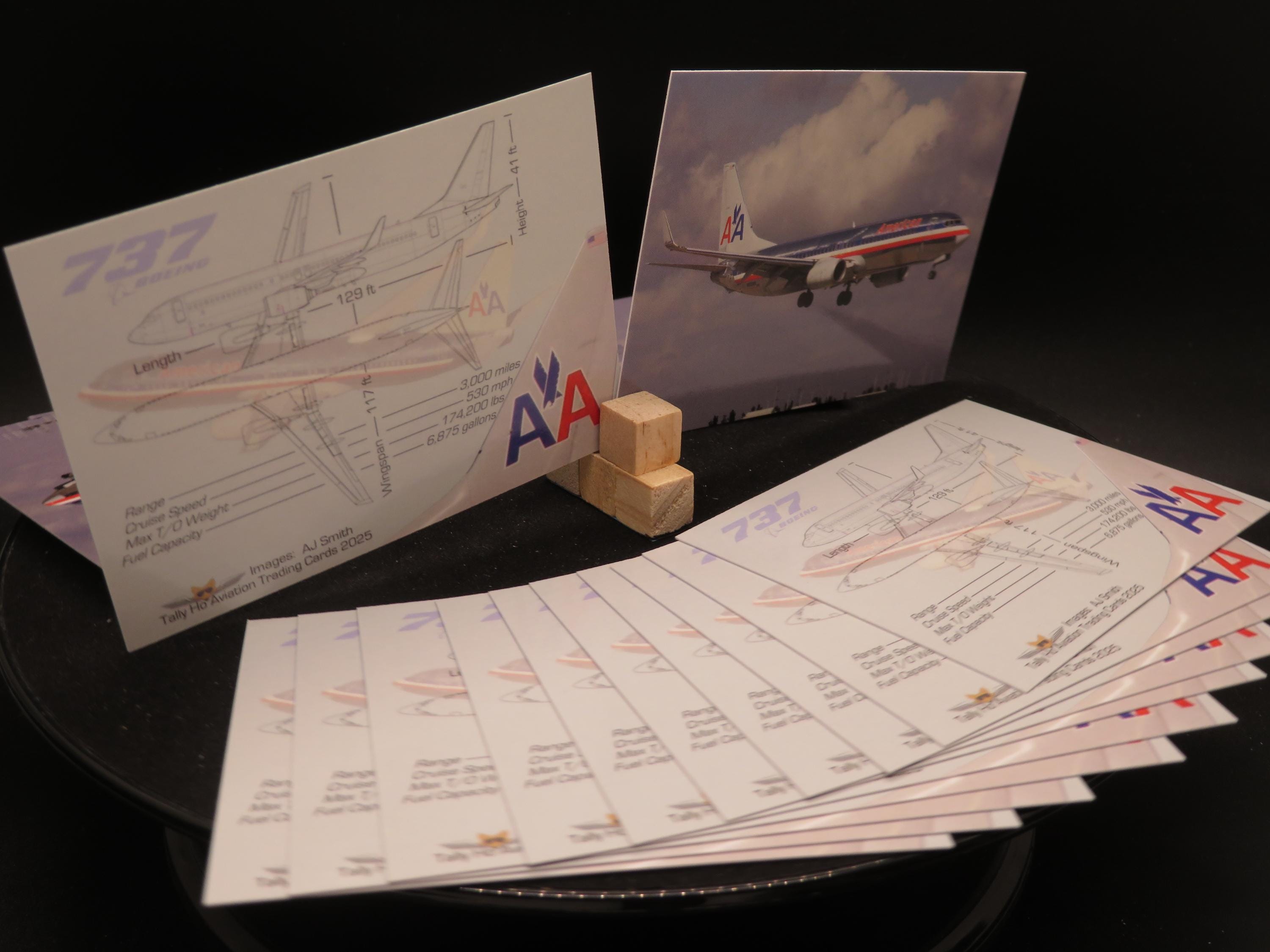 American Airlines Boeing 737-800 