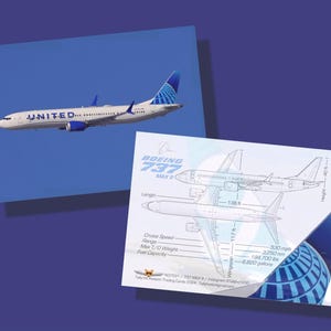 25 x 2,5 Zoll x 3,5 Zoll Sammelkarten für die 737 Max 9