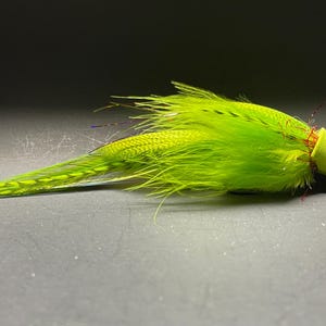 May include: A vibrant green fishing fly with a fluffy body and a long, tapered tail. The fly features a bright green, feathery material and a small, light green head. Red thread accents the head.