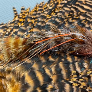 Leggy Boi Changer, Gamechanger, Streamer fly, Articulated Streamer, Any Color Available