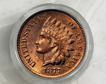 MONETE 1877 Testa d'indiano Moneta da un centesimo da collezione Monete commemorative rare da collezione