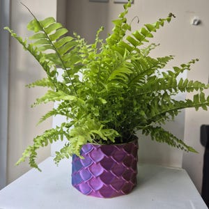 May include: A green fern plant in a purple and blue iridescent planter with a scale pattern. The planter is sitting on a white surface.