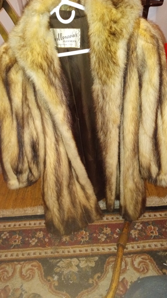 Russian Fitch Fur Coat - image 2