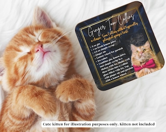 Funny Cat Coaster - Cat Cocktail Ginger Tom Collins - Fun Gift for Cat Lovers Who Love Cocktails, Cat Moms, Cat Dads, Cat Novelty Coaster