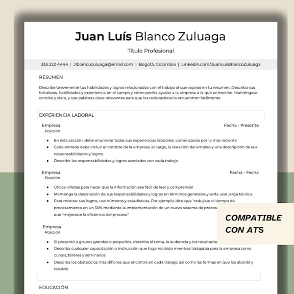 Ms word cv template for students - fertfx