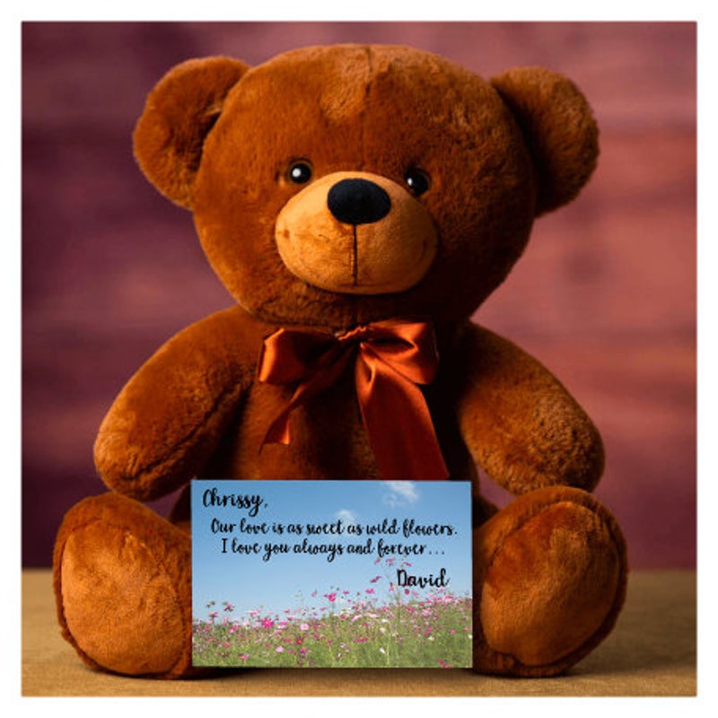 Teddy Bear for Girlfriend Etsy