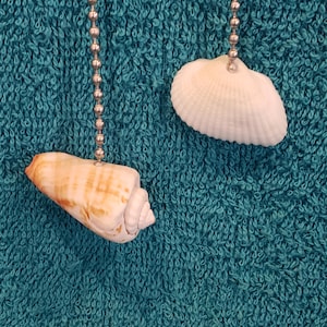 May include: Two ceiling fan pull chains featuring natural seashells as decorative ends. One pull chain features a tan and white cone-shaped shell, while the other features a white, fan-shaped bivalve shell. Both are attached to silver metal ball chains.