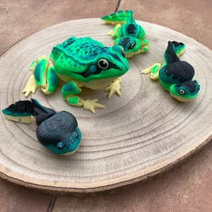 Puede incluir: Tres figuritas de rana pintadas a mano sobre una superficie de madera. La rana más grande es verde con manchas negras y detalles amarillos. Las dos ranas más pequeñas son negras con detalles verdes.