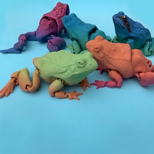 May include: Four articulated frog figurines in different colors: green, blue, pink, and orange. The frogs are posed in a playful, sitting position.