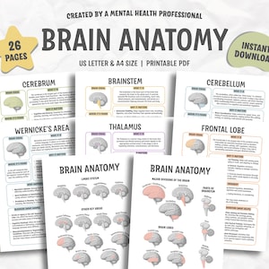 Peut inclure: Plusieurs pages PDF imprimables intitulées "Brain Anatomy" avec des schémas détaillés des différentes sections du cerveau. Les pages comprennent du texte et des illustrations du cerveau, du tronc cérébral, du cervelet et d'autres zones. Le texte indique "Created by a Mental Health Professional".