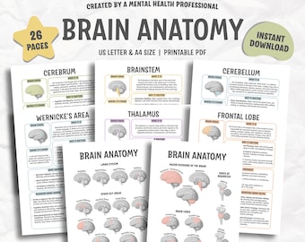 May include: A set of printable PDF pages titled "Brain Anatomy" with diagrams of the brain's different sections. The pages include text and illustrations of the cerebrum, brainstem, cerebellum, and other areas. The text reads "Created by a Mental Health Professional".