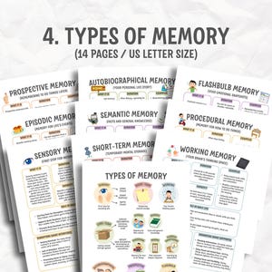 Mega Brain Bundle || Brain Anatomy, Brain Region, Brain Lobes ...