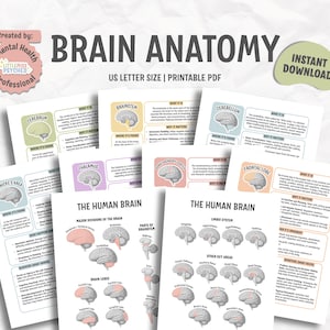 Brain Anatomy Resource Bundle, Brain Region, Brain Lobes, Neuroscience, Neuropsych, Neuro Nurse, Therapist, Psychiatrist, Psychoeducation