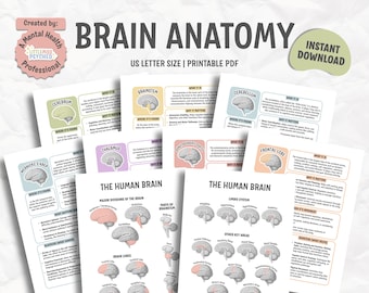 Brain Anatomy Resource Bundle, Brain Region, Brain Lobes, Neuroscience, Neuropsych, Neuro Nurse, Therapist, Psychiatrist, Psychoeducation