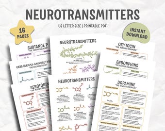 Neurotransmitters Handouts, Brain Chemistry, Happy Chemicals, Neuroscience, Neuropsychology, Executive Function, Brain Anatomy, Therapist