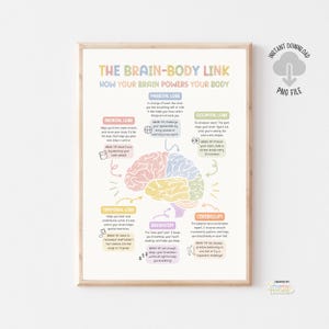 Op de afbeelding: Een ingelijste poster getiteld "THE BRAIN-BODY LINK" met kleurrijke illustraties van de hersenen en hun functies. De poster bevat tekst die de frontale, pariëtale, occipitale, temporale, hersenstam- en cerebellumkwabben beschrijft.