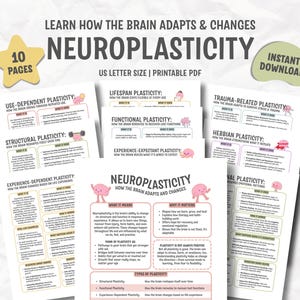 Neuroplasticity, Neuroscience Resource, Brain Science & Development, Neuroanatomy Tool, Rehab Cognitive Therapy, Mental Health Professional