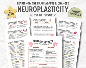 Neuroplasticity, Neuroscience Resource, Brain Science & Development, Neuroanatomy Tool, Rehab Cognitive Therapy, Mental Health Professional
