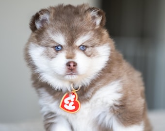 3D Printed Beanie Baby Heart Tag: Pet Collar Accessory