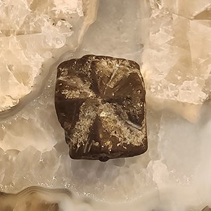 Staurolite Crystal - Fairy Cross / Zia Stone from Taos County, New Mexico (S8)