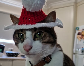 Crochet Santa Hat for cat pattern