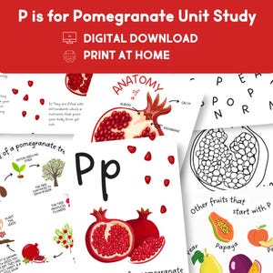 May include: Educational printables for a pomegranate unit study. The image features illustrations of pomegranates, diagrams of the fruit's anatomy, and the letter "P." Text includes "Digital Download" and "Print at Home."