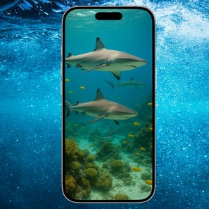 Shark phone wallpaper | underwater ocean lock screen | marine life digital art download