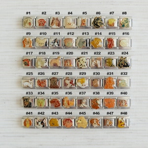 Puede incluir: Un conjunto de 48 pulseras de charms de plata, cada charm representa una raza de perro diferente. Los charms est&aacute;n numerados del 1 al 48.