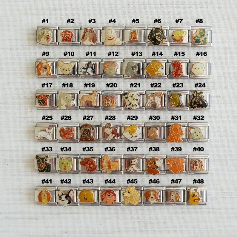 Puede incluir: Un conjunto de 48 pulseras de charms de plata, cada charm representa una raza de perro diferente. Los charms est&aacute;n numerados del 1 al 48.