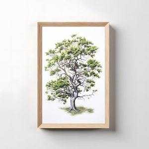 Watercolor Tree Painting, Nature Wall Art, Monochrome Tree Poster, Realistic Tree Print, Living Room Decor, Printed and Shipped