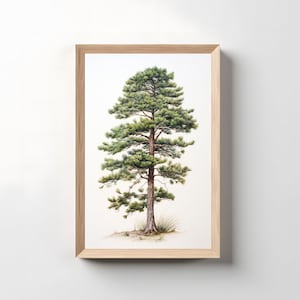 Pine Tree Printable, Nature Wall Art, Tall Pine Tree Printable Art, Realistic Pine Tree Print, Living Room Decor, Digital Download