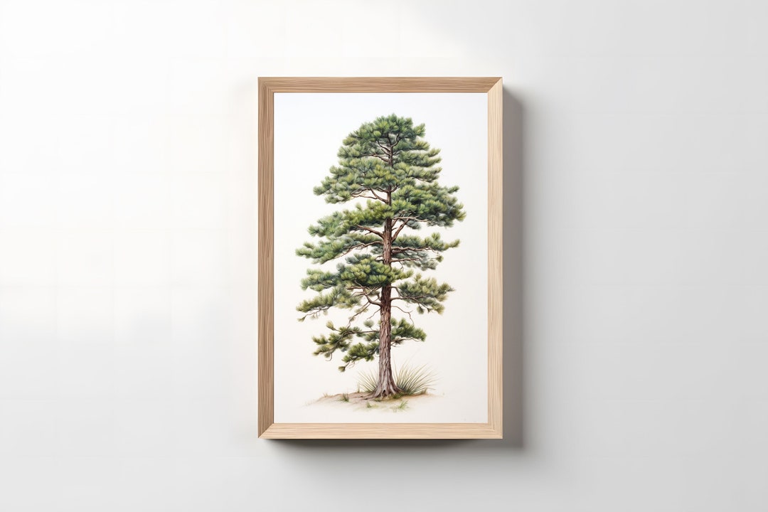 Pine Tree Printable, Nature Wall Art, Tall Pine Tree Printable Art ...