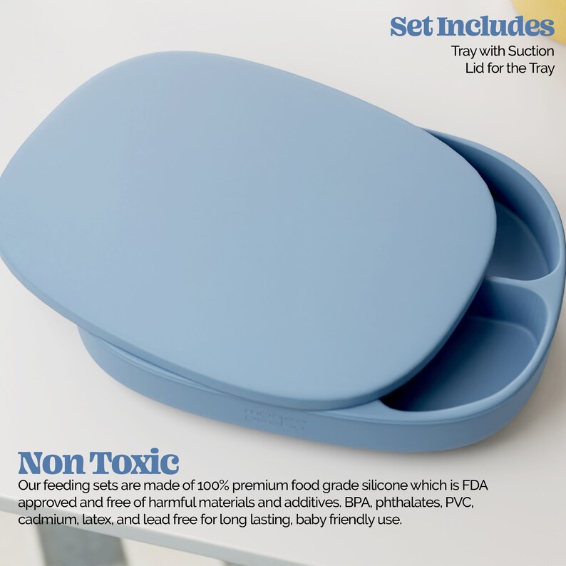 4 Section Baby Tray Baby Dishes and Toddler Plate With Suction Bottom and Lid Etsy