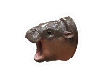 Moo Deng Biting Hippo Vinyl Sticker, Waterproof Laptop Decal