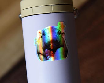 Holographic Moo Deng Hippo Vinyl Sticker | Funny Meme Decal