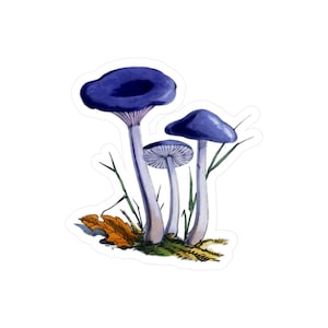 Vintage Blue Mushroom Illustration Sticker, Retro Style Botanical Vinyl Decal for Laptop, Water Bottle, Journaling, Scrapbooking