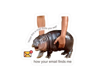 Moo Deng Hippo Email Vinyl Sticker, Laptop Decal