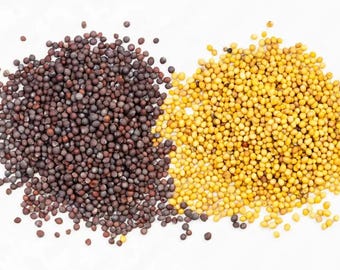 Black Mustard, Yellow Mustard Seeds | Cooking Spice Selection