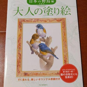 Coloring book for adults: Japanese wild birds - Japanese Coloring Book