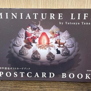 Livre de cartes postales MINIATURE LIFE (Tatsuya Tanaka) - livre d'artisanat japonais*