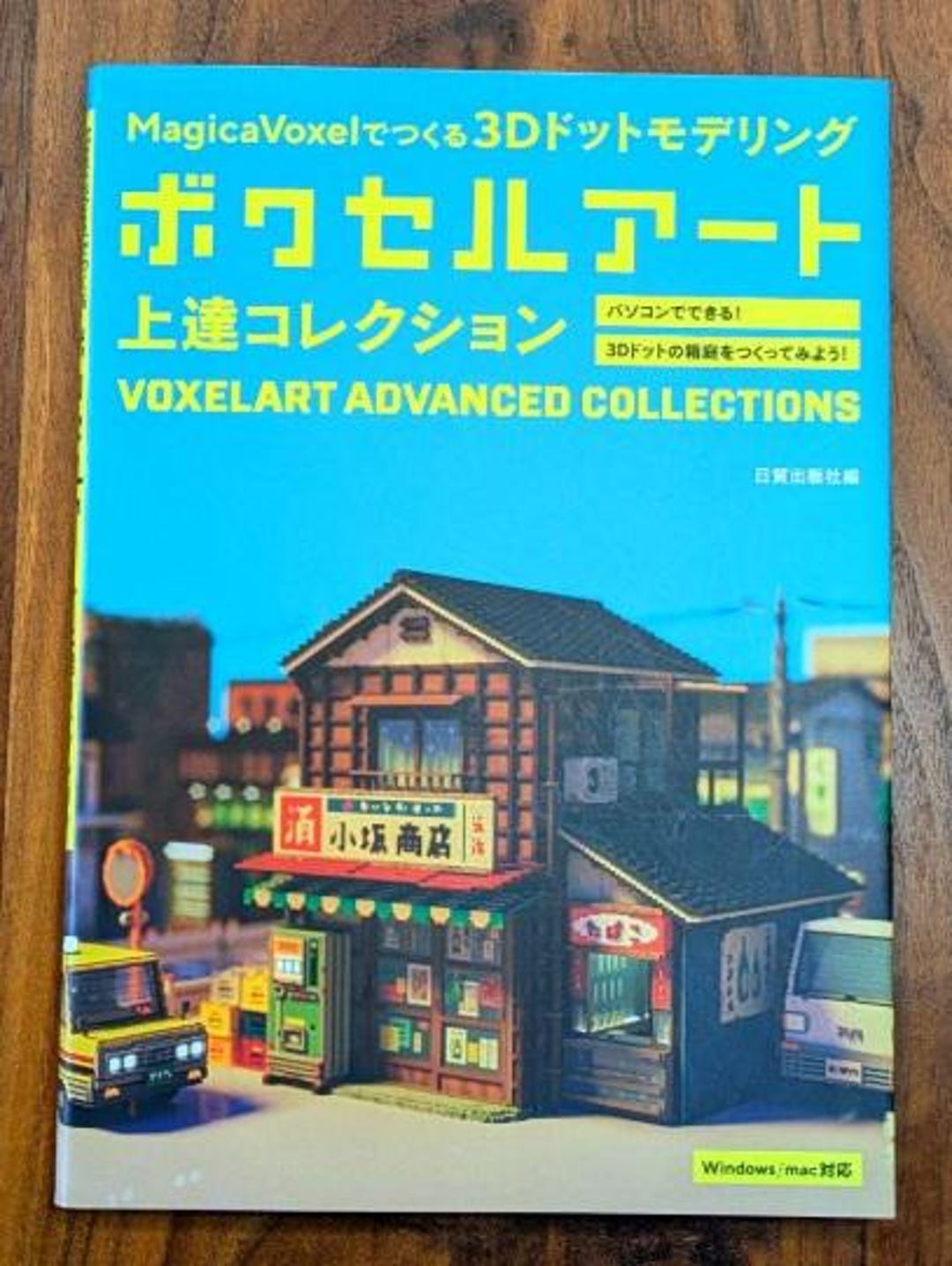 Voxel Art Advanced Collections Improvement Books 3D Dot Modeling