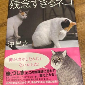 Too bad cat photo book by Masayuki Oki cat photographers - Japanese Craft Book