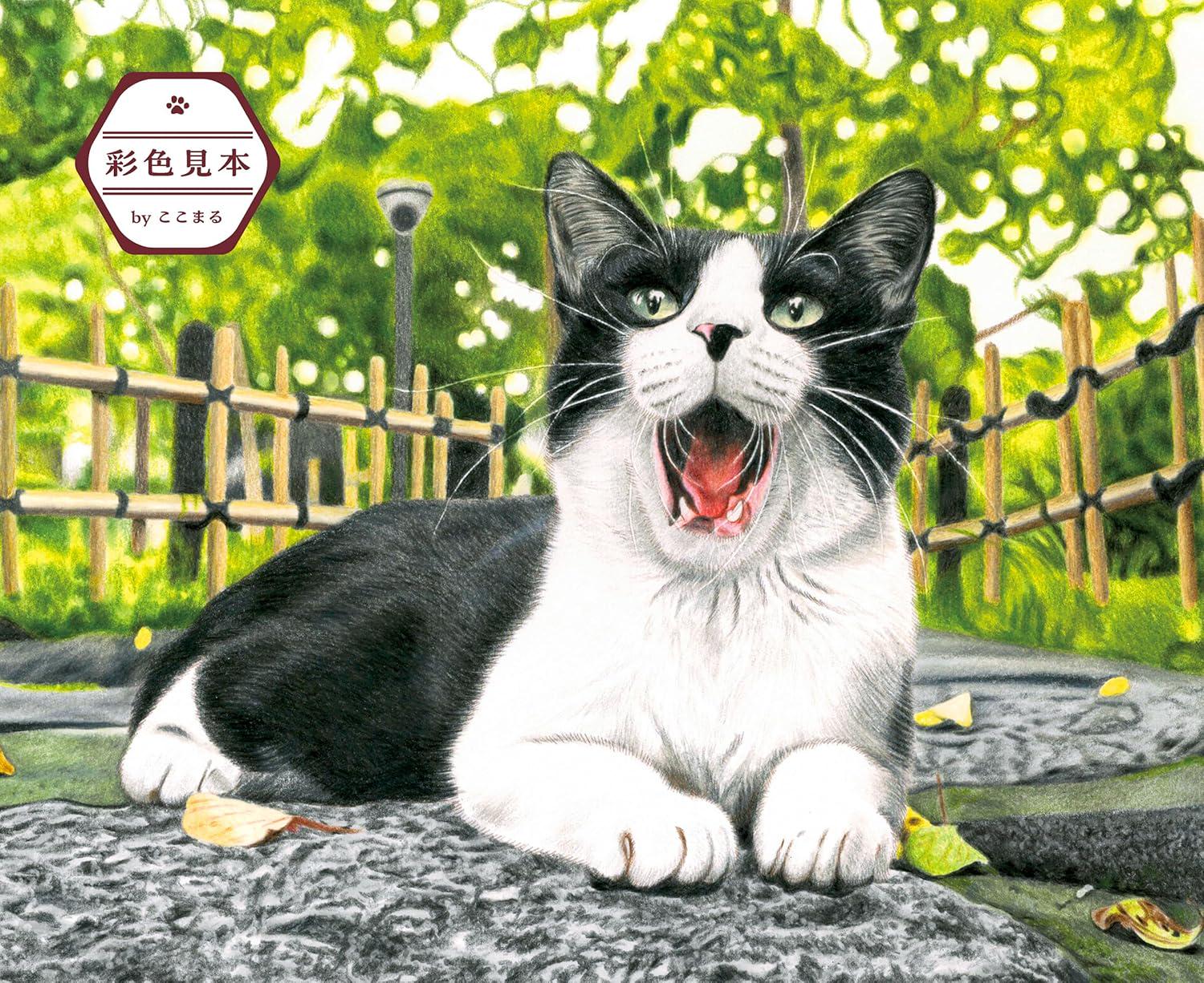 Masayuki Oki's the Free-roaming Cats - Japanese Coloring Book - Etsy