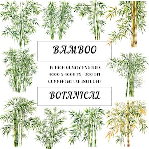 15 Bambus Clipart, Bambus PNG, druckbare Aquarell Clipart, hochwertige PNG, Papierhandwerk, Junk Journals, digitaler Download, kommerzielle Nutzung
