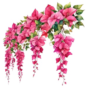 29 Bougainvillea Flower Clipart, Watercolor Pink Floral Prints, High Quality Transparent PNG, Paper craft, Digital download, Commercial use