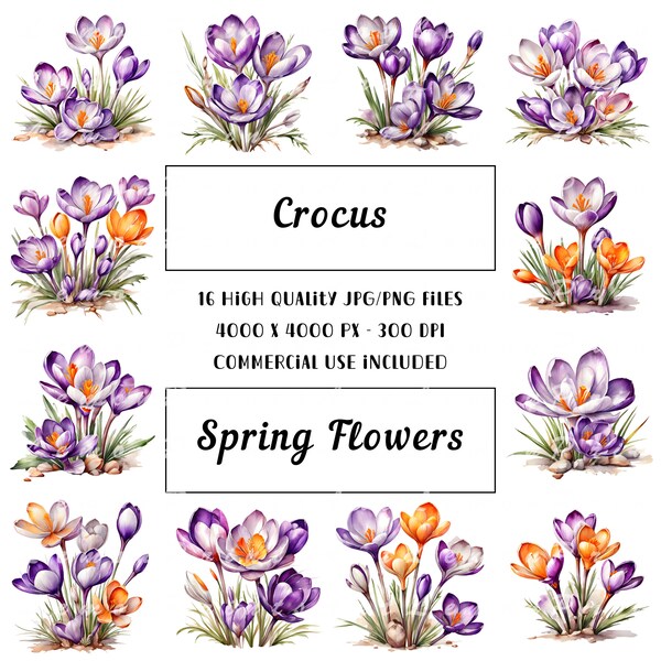 16 Crocus Clipart, Spring Flowers Clipart, purple flowers, High Quality JPG/PNG Paper craft Junk Journals Digital Planners, Digital download