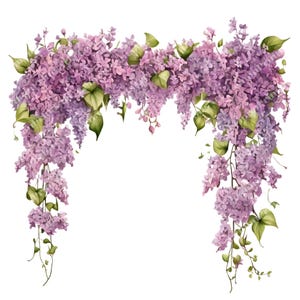 29 Imágenes prediseñadas florales lilas, Flor púrpura acuarela, PNG transparente de alta calidad, Invitaciones de boda, Descarga digital, Uso comercial
